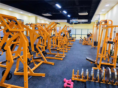 健身器材進出口與工藝品市場的價格分析